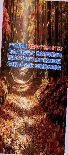 广西代母康养经营部
